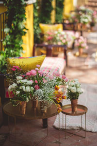 Potted plant on table