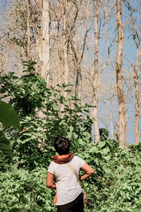 Rear view of woman standing amidst tree trunk