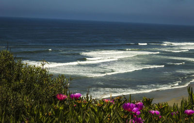 Scenic view of sea against clear sky