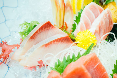 Close-up of sashimi served in plate