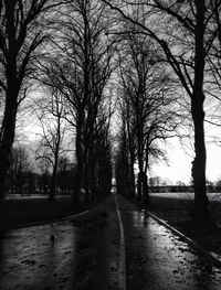 Road amidst bare trees against sky