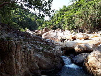 Stream flowing through rocks in forest