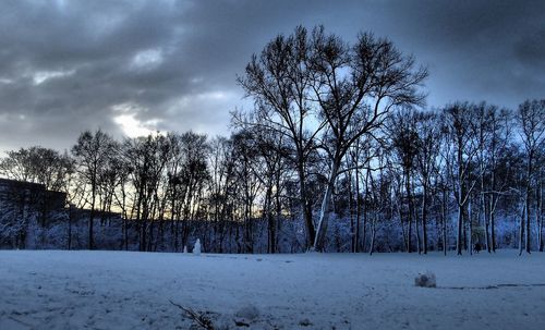 Bare trees on snow covered landscape