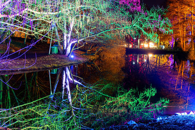 Illuminated lights by trees in lake at night