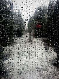 Close-up of water drops on glass