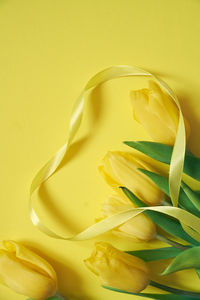 High angle view of rose petals against yellow background