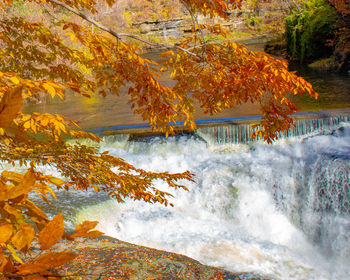 Scenic view of waterfall during autumn