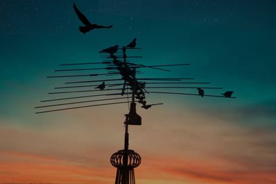 Low angle view of silhouette birds flying against sky at sunset