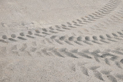 High angle view of footprints on sand at beach