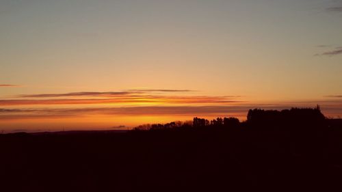 Silhouette of trees at sunset