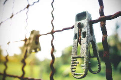 Close-up of chain hanging on metal fence