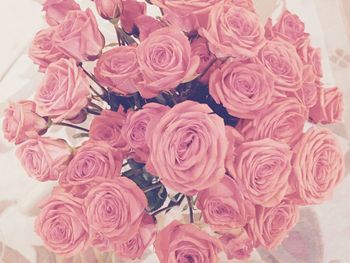 Close-up of pink roses