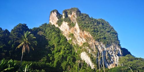 Low angle view of trees on mountain against clear blue sky
