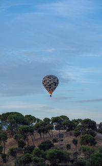 Low angle view of hot air balloons against sky