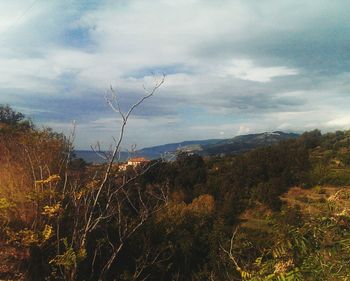 Scenic view of landscape against cloudy sky