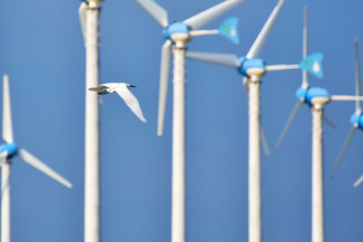 Close-up of bird on wind turbine