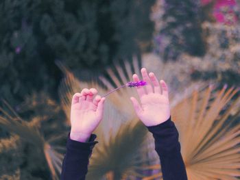 Close-up of woman hand holding red flowers