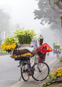 Hanoi street flower market