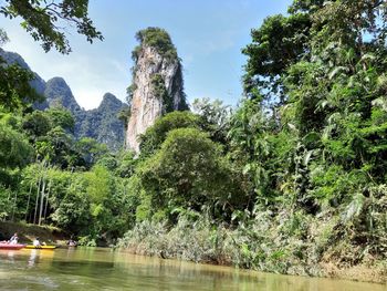 Scenic view of river amidst trees against sky