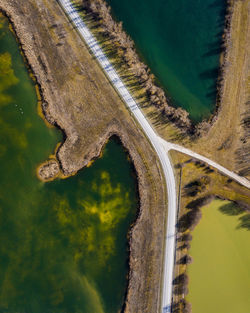 High angle view of road amidst trees