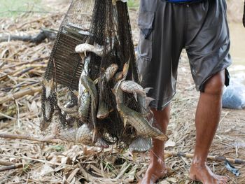 Low section of man working at fish