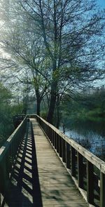 View of wooden footbridge along trees