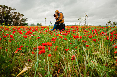 Red poppy flowers on field against sky