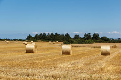 Hay bales on field against sky