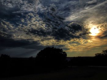 Silhouette of trees against dramatic sky