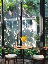 Potted plants on table by window
