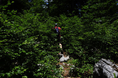 Man and plants in forest