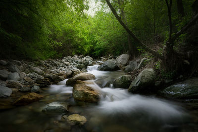 Stream flowing through rocks in forest