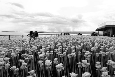 People standing by flowering plants against sky