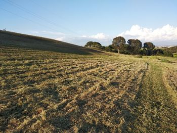 Scenic view of field against sky