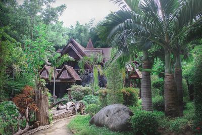 Plants and trees by house against sky