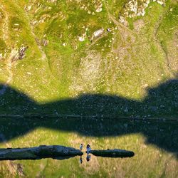 High angle view of man by tree by lake