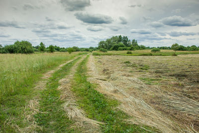 Grassy road and grass mowed in a meadow, gray clouds in the sky. zarzecze, poland