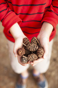 High angle view of boy holding ice cream