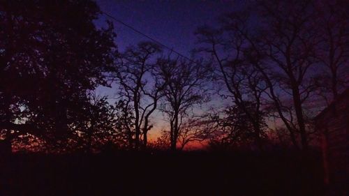 Bare trees against sky at sunset