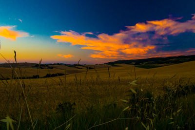 Scenic view of field against sky during sunset