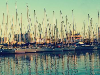 Sailboats moored in harbor against sky