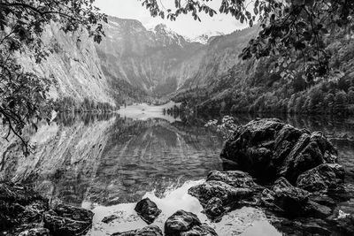 Scenic view of river amidst trees in forest