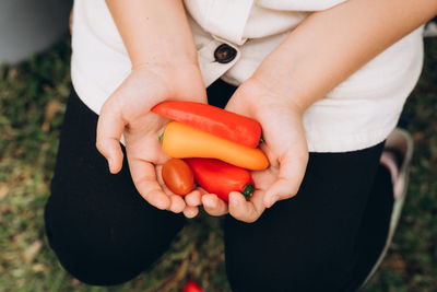 Girl's hands holding a vegetables.