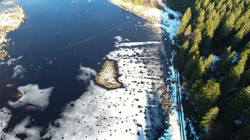 High angle view of turtle in sea