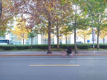 Man riding bicycle on road in city