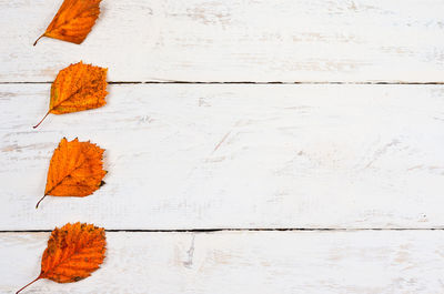 Full frame shot of orange leaves on table