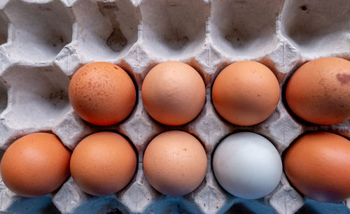 Directly above shot of eggs in row