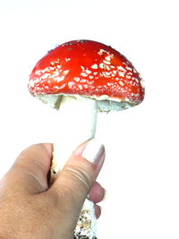 Close-up of hand holding strawberry over white background