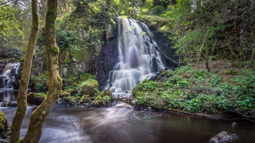 Scenic view of waterfall in forest