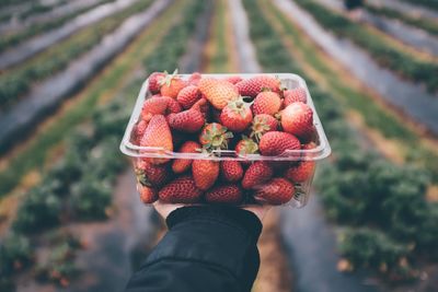 Cropped hand holding strawberries in box outdoors